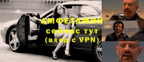 гидра Богданович