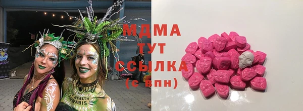 гидра Богданович