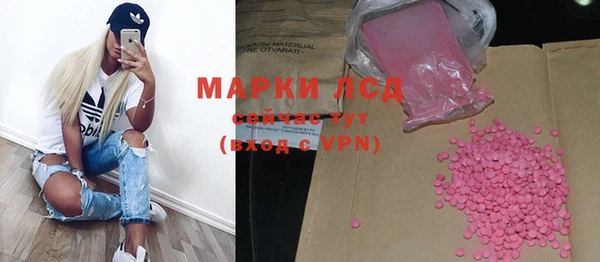 гидра Богданович