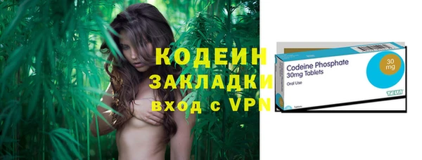 гидра Богданович