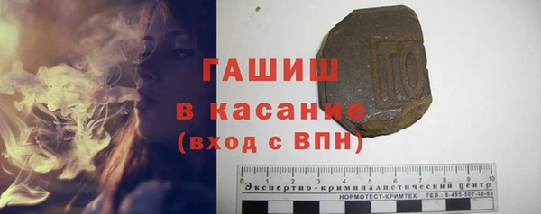 гидра Богданович
