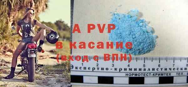 гидра Богданович