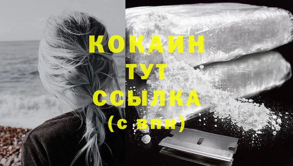 гидра Богданович