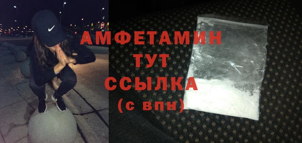 гидра Богданович