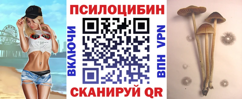 Купить где  Менделеевск  Галлюциногенные грибы Magic Shrooms 